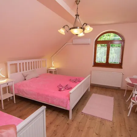 Guest house Napvirag-haz 4*