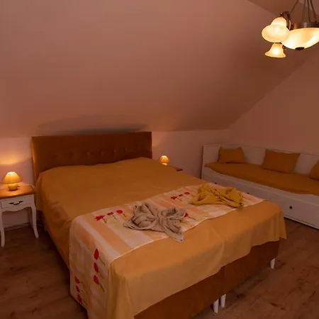 Guest house Napvirag-haz