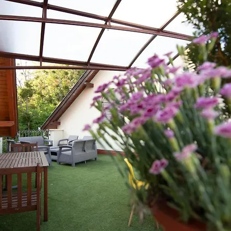 Napvirag-haz Guest house