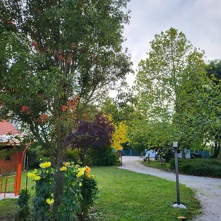 Guest house Napvirag-haz 4*